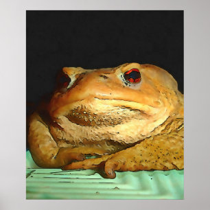 Toad With Philosophical Disposition Painting Poster
