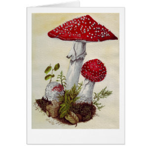 Toadstool