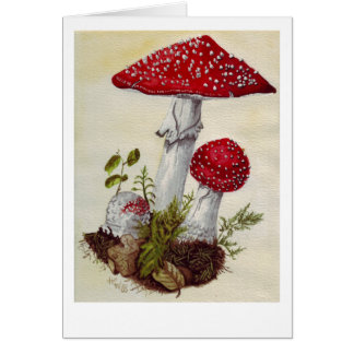 Toadstool