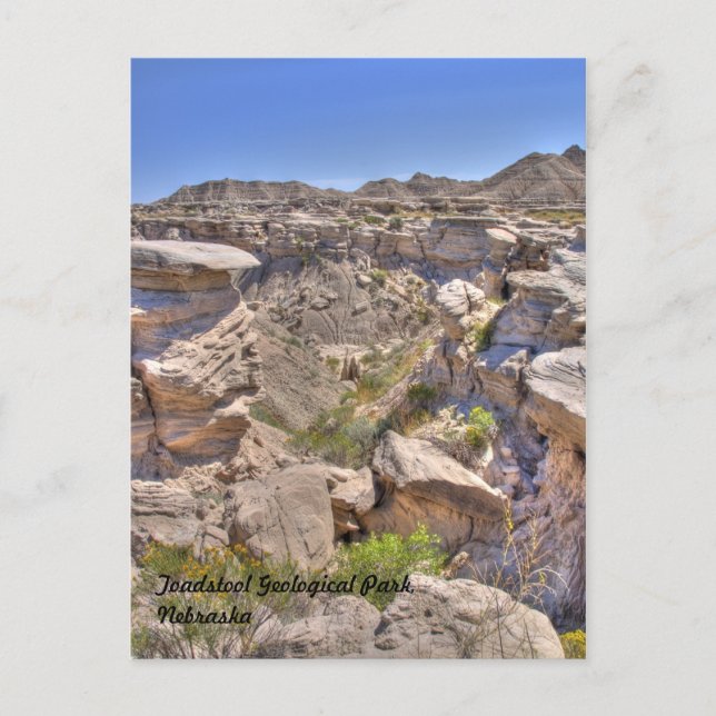 Toadstool Geological Park, Nebraska Postcard (Front)