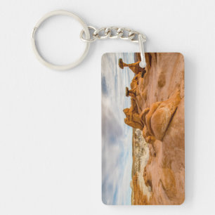 Toadstool Hoodoos Key Ring