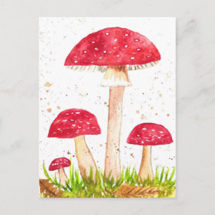 Toadstool Mushroom Forest watercolor Red Nature Postcard