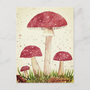 Toadstool Mushroom Forest watercolor Red Nature Postcard
