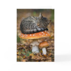 Toadstool Tabby Folded Greeting Card