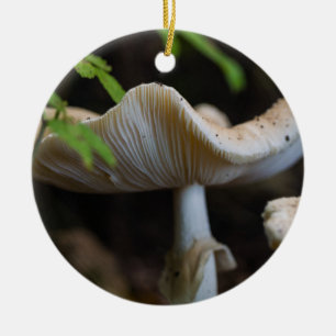 Toadstool Umbrella Ceramic Tree Decoration