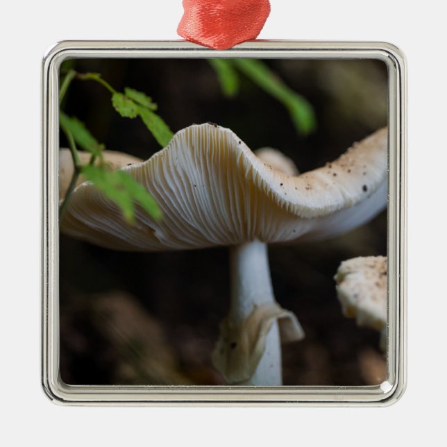 Toadstool Umbrella Metal Tree Decoration (Front)