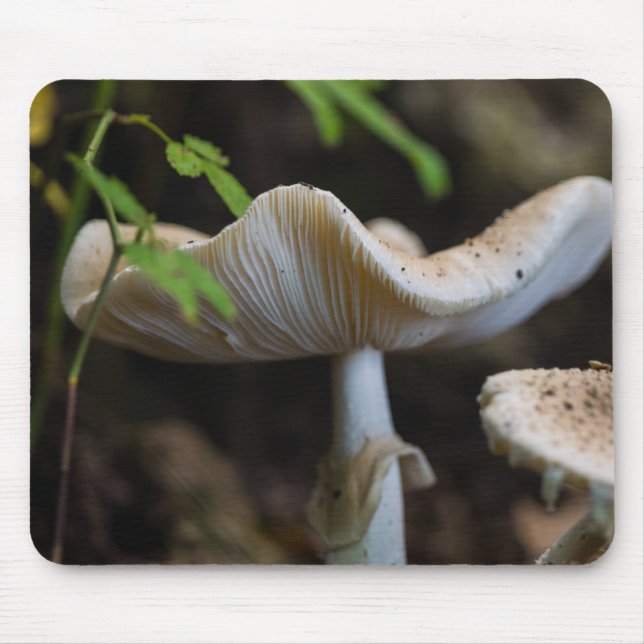 Toadstool Umbrella Mouse Pad (Front)