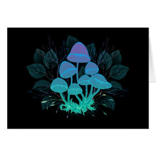 Toadstools in Bushes