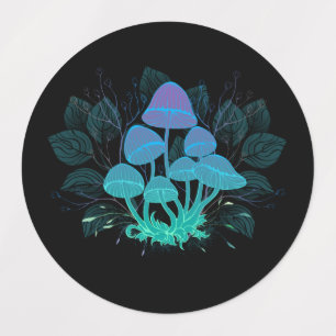 Toadstools in Bushes