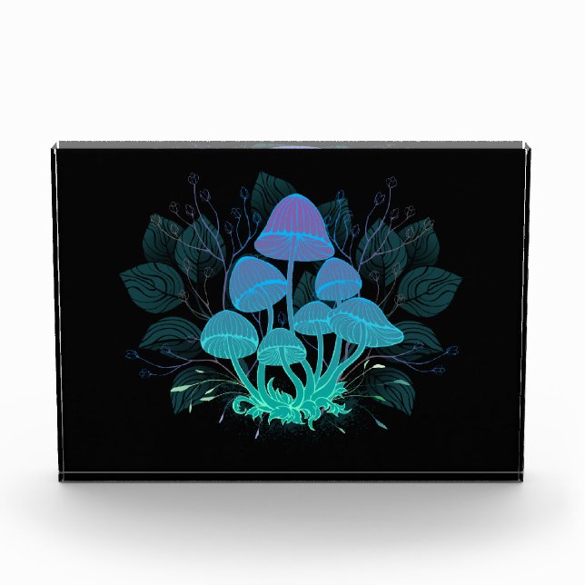 Toadstools in Bushes Photo Block (Front)