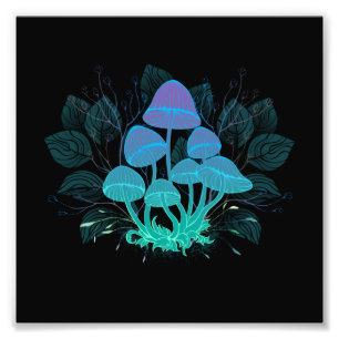 Toadstools in Bushes Photo Print