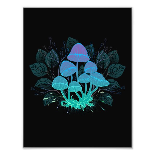 Toadstools in Bushes Photo Print (Front)