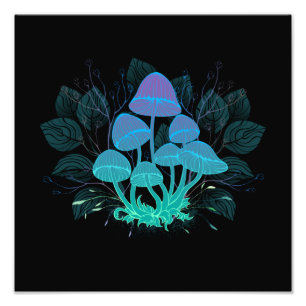 Toadstools in Bushes Photo Print