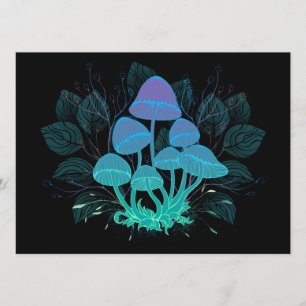 Toadstools in Bushes Programme