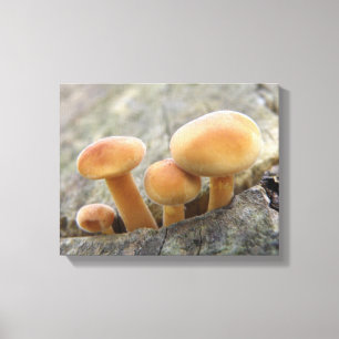 Toadstools on a Tree Trunk Canvas Print