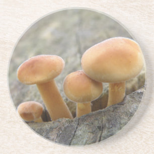 Toadstools on a Tree Trunk Coasters