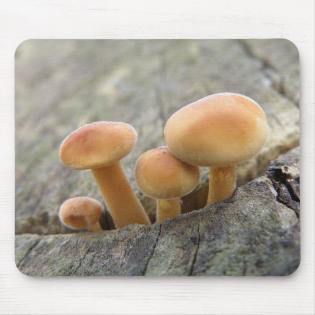 Toadstools on a Tree Trunk Mousepad (Front)