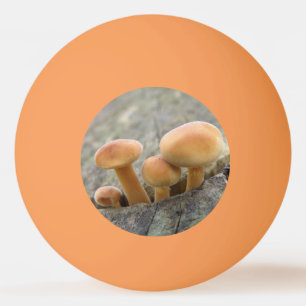Toadstools on a Tree Trunk Ping Pong Ball