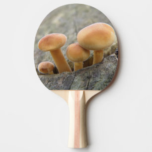Toadstools on a Tree Trunk Ping Pong Paddle