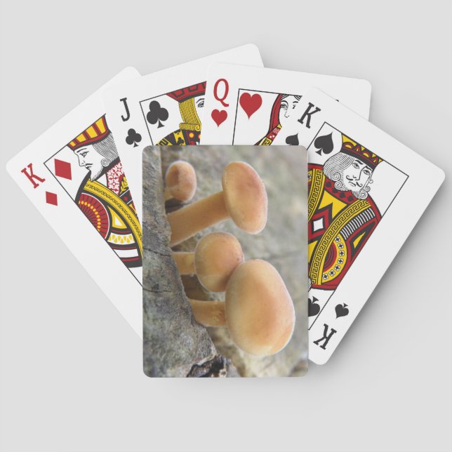 Toadstools on a Tree Trunk Playing cards (Back)