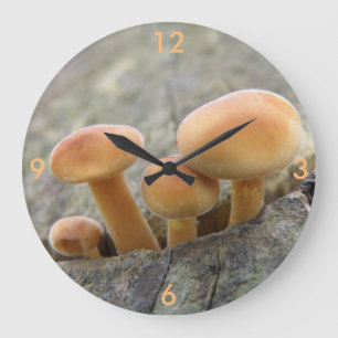 Toadstools on a Tree Trunk Wall Clock
