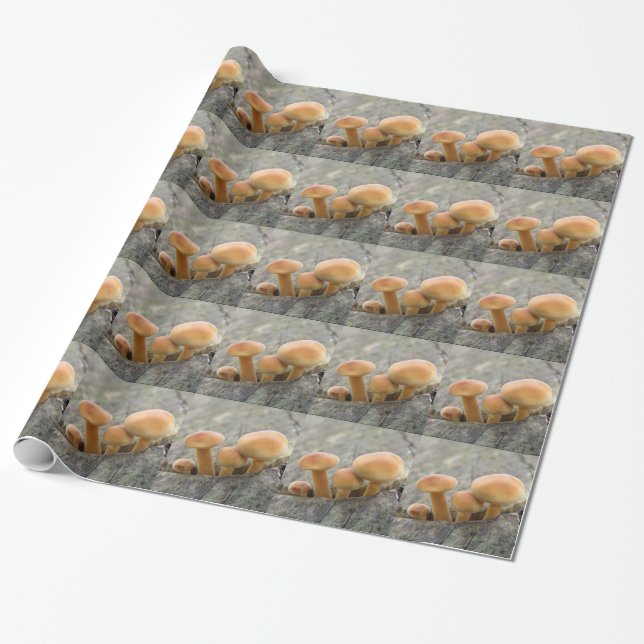 Toadstools on a Tree Trunk Wrapping Paper (Unrolled)
