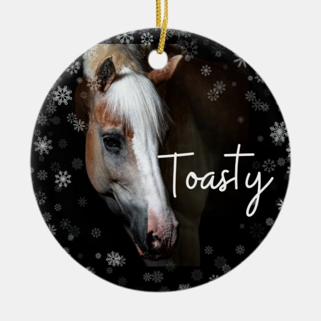Toasty Ornament (Front)