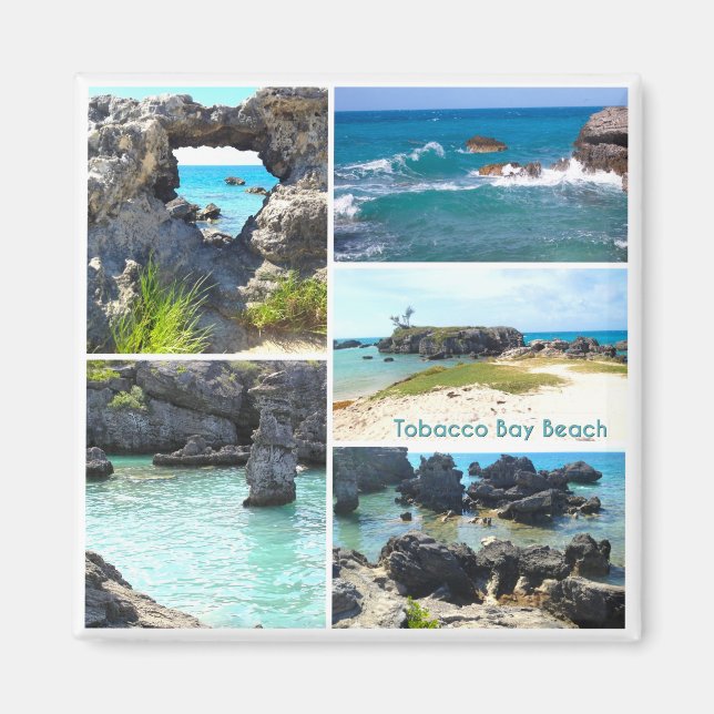 Tobacco Bay Beach, Bermuda  Magnet (Front)