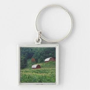 Tobacco crop and pair of red tobacco barns near key ring