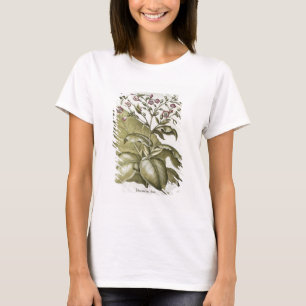 Tobacco plant, from the 'Hortus Eystettensis' by B T-Shirt