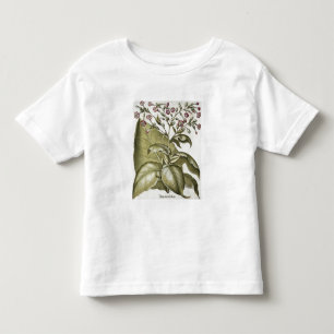 Tobacco plant, from the 'Hortus Eystettensis' by B Toddler T-Shirt