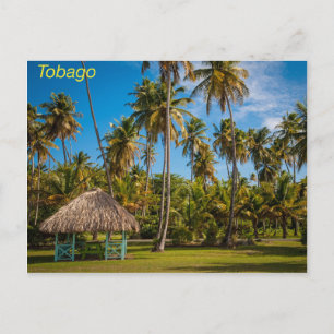 Tobago Postcard