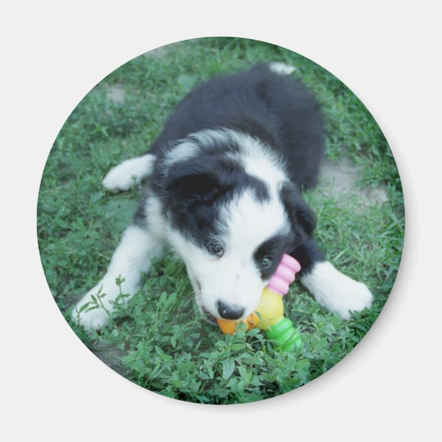 Toby3 Magnet (Front)