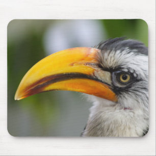 Tockus leucomelas mouse pad