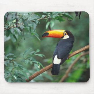 Toco Toucan Bird Mousepad