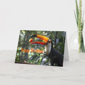 Toco Toucan Birthday Card