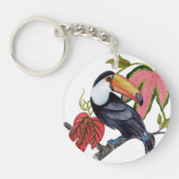 Toco Toucan