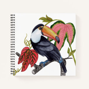 Toco Toucan Notebook