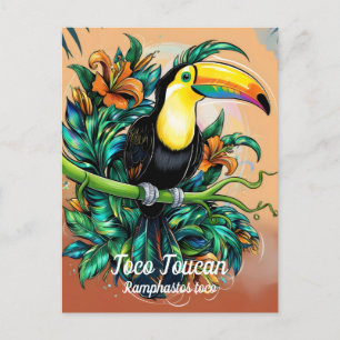 Toco Toucan Postcard