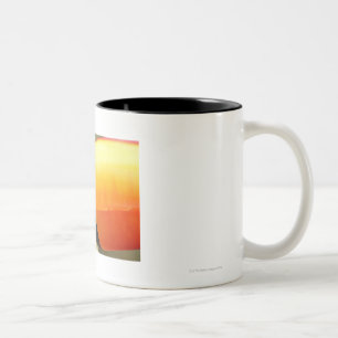 Toco Toucan (Ramphastos toco) is the largest Two-Tone Coffee Mug