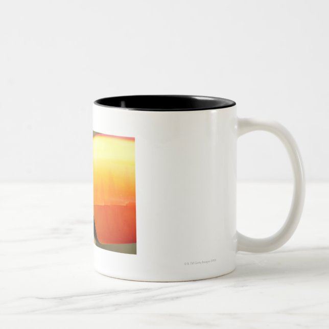 Toco Toucan (Ramphastos toco) is the largest Two-Tone Coffee Mug (Right)