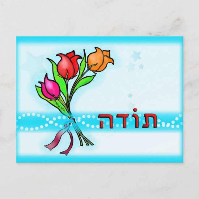 Toda תודה Hebrew Thank You Greeting Card (Front)