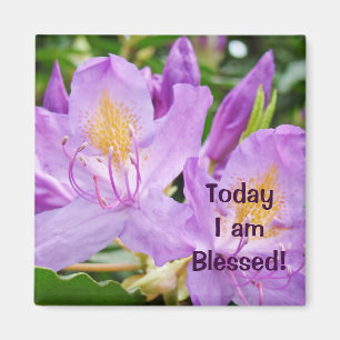 Today I am Blessed! magnets Blessings Rhodies