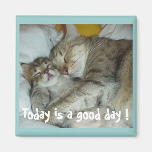 Today is a good day ! Cats Magnet