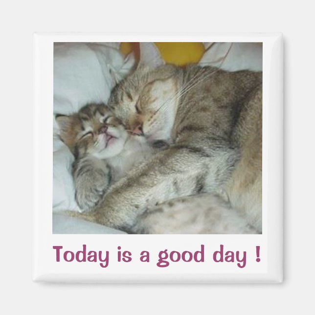 Today is a good day ! Cats Magnet (Front)