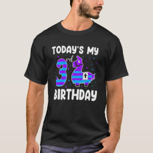 Today Is My 3rd Birthday Kids Boys Girls Llama A T-Shirt