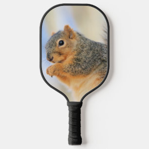Todays furball pickleball paddle