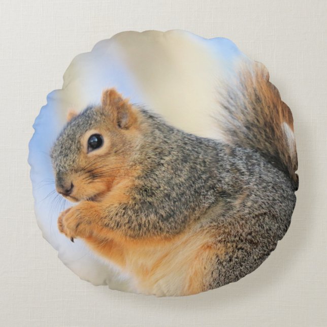 Todays furrball  round cushion (Front)