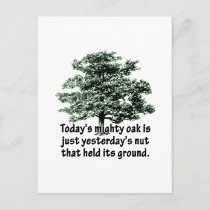 Today's mighty oak is just yesterday's nut that he postcard