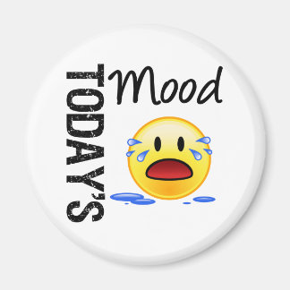 Today's Mood Emoticon Crying Magnet